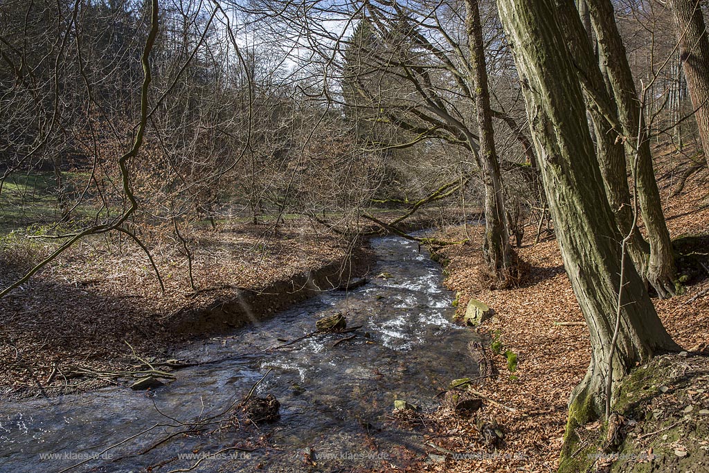 Remscheid, Eschbach kurz vor der Muendung in die Remscheider Talsperre, auch Eschbachtalperre; Remscheid, beck Eschbach.
