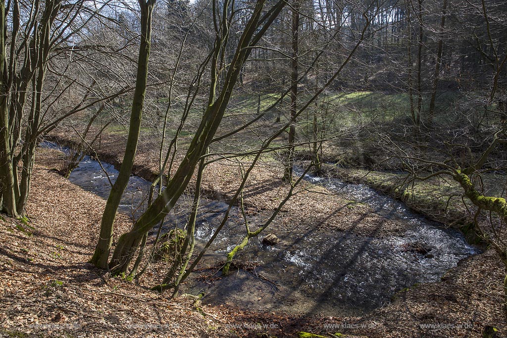 Remscheid, Eschbach kurz vor der Muendung in die Remscheider Talsperre, auch Eschbachtalperre; Remscheid, beck Eschbach.