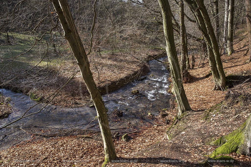 Remscheid, Eschbach mit der Muendung des Toeckelhauser Baches kurz vor der Einmuendung in die Remscheider Talsperre, auch Eschbachtalsperre; Remscheid, beck Eschbach and mouth of Toeckelhauser Bach 