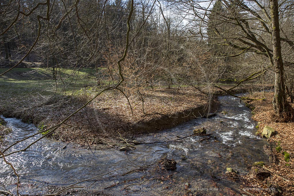 Remscheid, Eschbach mit der Muendung des Toeckelhauser Baches kurz vor der Einmuendung in die Remscheider Talsperre, auch Eschbachtalsperre; Remscheid, beck Eschbach and mouth of Toeckelhauser Bach 