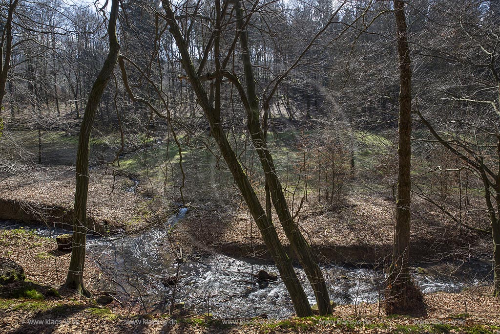 Remscheid, Eschbach mit der Muendung des Toeckelhauser Baches kurz vor der Einmuendung in die Remscheider Talsperre, auch Eschbachtalsperre; Remscheid, beck Eschbach and mouth of Toeckelhauser Bach 