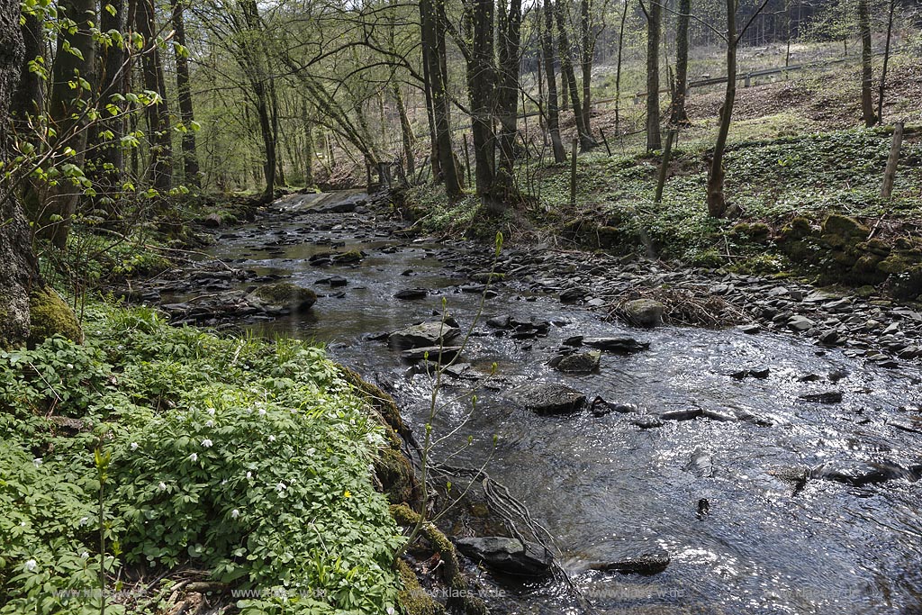 Remscheid, Eschbachtal, Blick auf den Eschbach am Roentgenweg, auch Erlebnisweg Eschbach; Remscheid, Eschbachtal, beck Eschbach naer the adventure trail Erlebnisweg Eschbach.