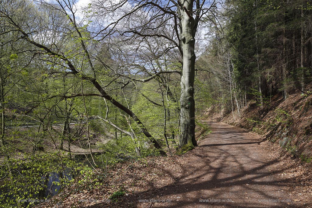 Remscheid, Eschbachtal, Blick auf den Roentgenweg, auch Erlebnisweg Eschbach; Remscheid, Eschbachtal, view to the adventure trail Erlebnisweg Eschbach.