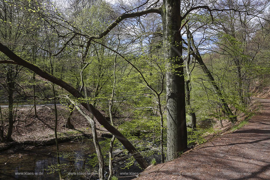 Remscheid, Eschbachtal, Blick auf den Roentgenweg, auch Erlebnisweg Eschbach; Remscheid, Eschbachtal, view to the adventure trail Erlebnisweg Eschbach.