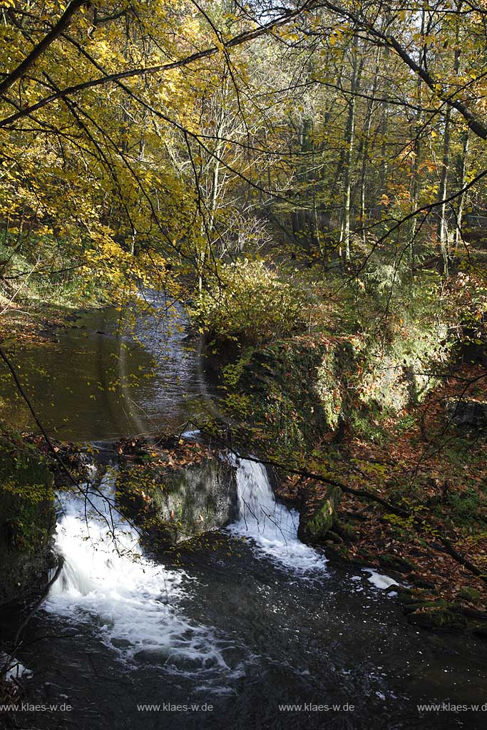 Remscheid Eschbachtal, Blick vom Roentgenweg auf den Eschbach mit Stroemung und herbstlich verfaerbten Baeumen; Remscheid Eschbach valley view onto the Eschbach beck with autumn coloured trees