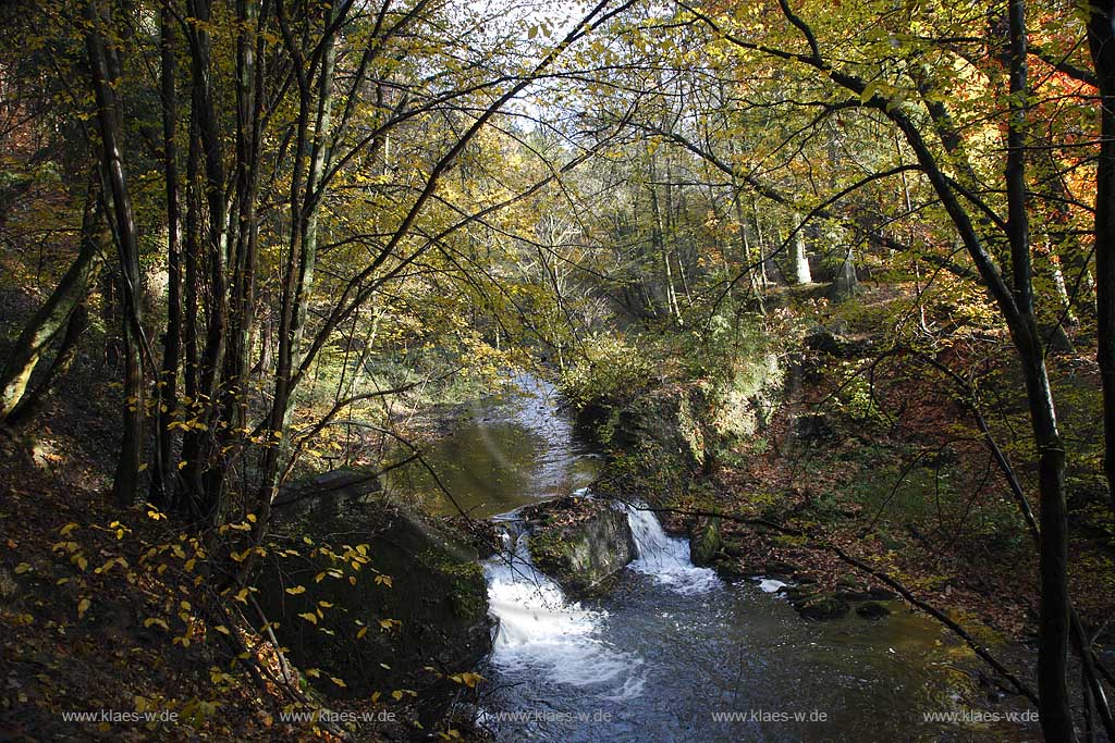 Remscheid Eschbachtal, Blick vom Roentgenweg auf den Eschbach mit Stroemung und herbstlich verfaerbten Baeumen; Remscheid Eschbach valley view onto the Eschbach beck with autumn coloured trees