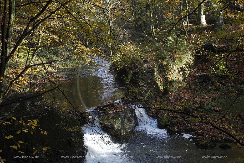 Remscheid Eschbachtal, Blick vom Roentgenweg auf den Eschbach mit Stroemung und herbstlich verfaerbten Baeumen; Remscheid Eschbach valley view onto the Eschbach beck with autumn coloured trees