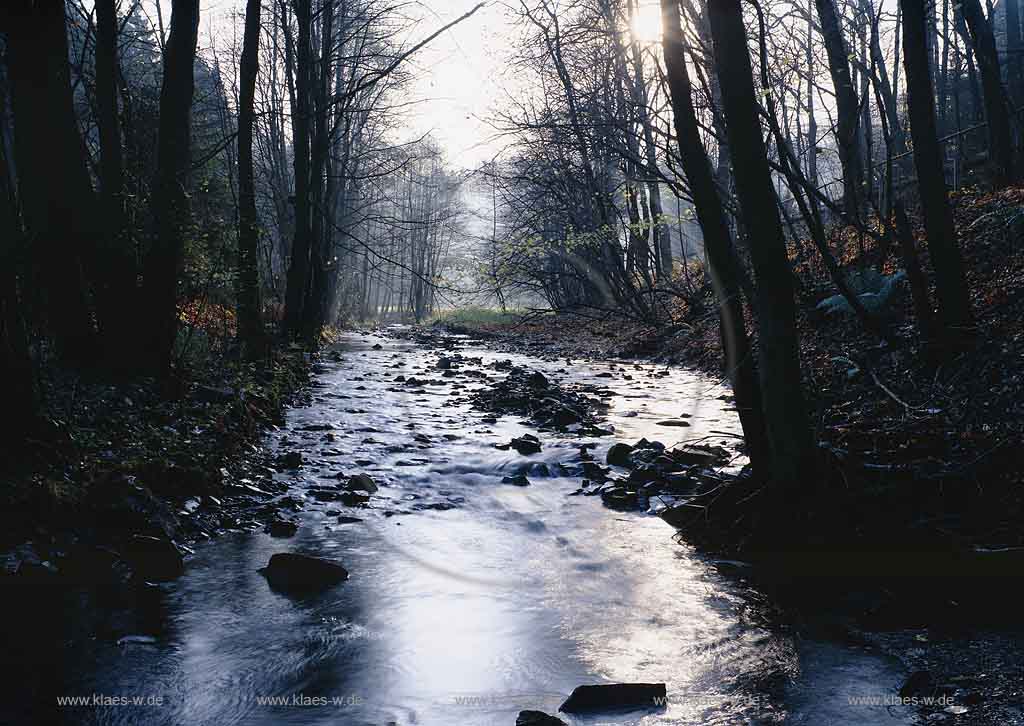 Eschbachtal, Remscheid, Regierungsbezirk Dsseldorf, Blick auf Eschbach im Eschbachtal in Herbstlandschaft