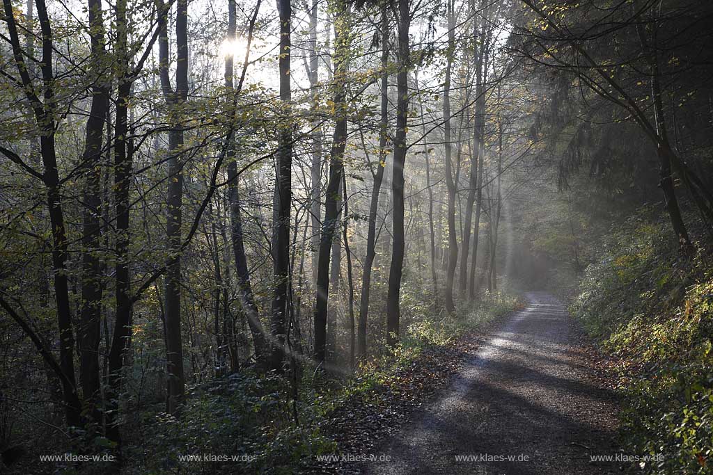 Remscheid Eschbachtal, Roentgenweg mit Eschbach im Herbst; Remscheid Eschbach valley in autumn