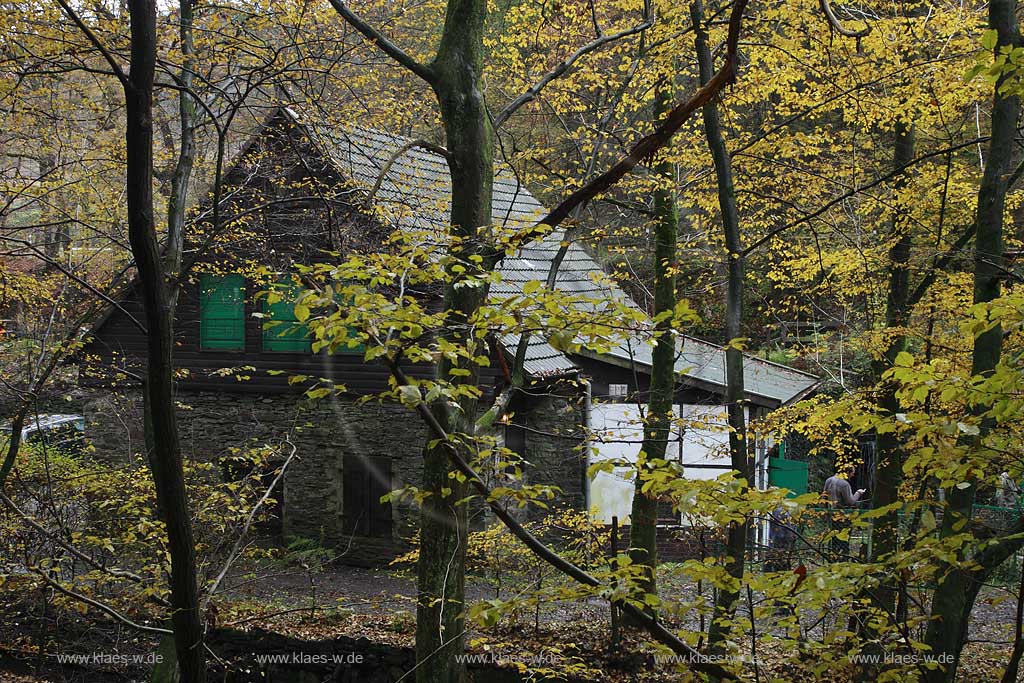 Remscheid Eschbachtall, Blick aum Roentgenweg auf den Johenneshammer mit herbstlich verfaerbten Buemen im Vordergrund; Remscheid Eschbach valley view onto the mill Johanneshammer with autumn coloured tree