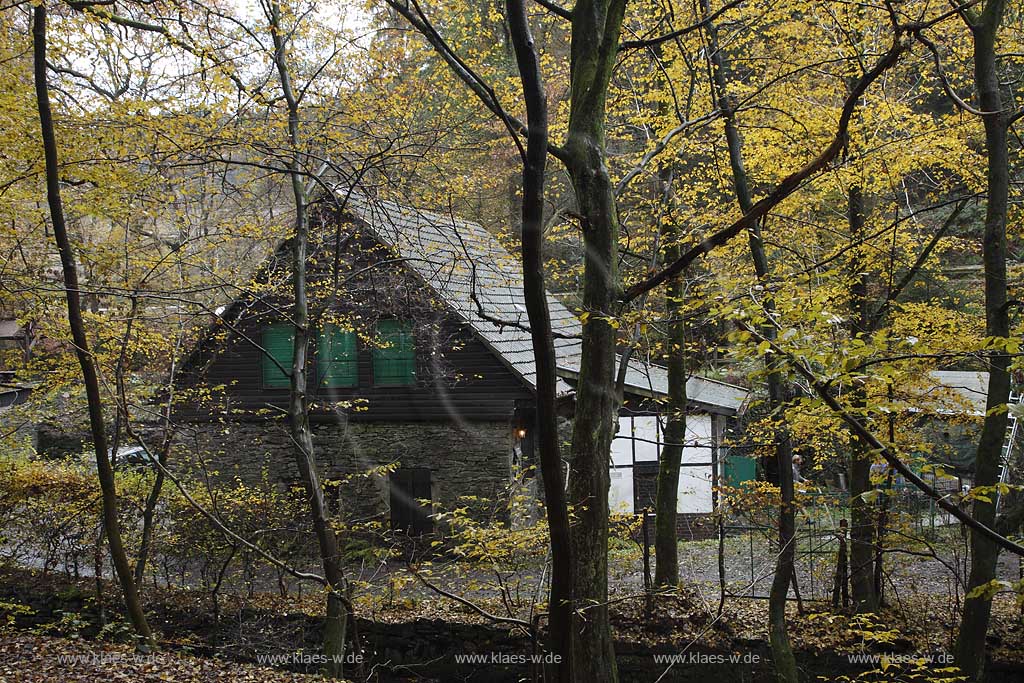 Remscheid Eschbachtall, Blick aum Roentgenweg auf den Johenneshammer mit herbstlich verfaerbten Buemen im Vordergrund; Remscheid Eschbach valley view onto the mill Johanneshammer with autumn coloured tree