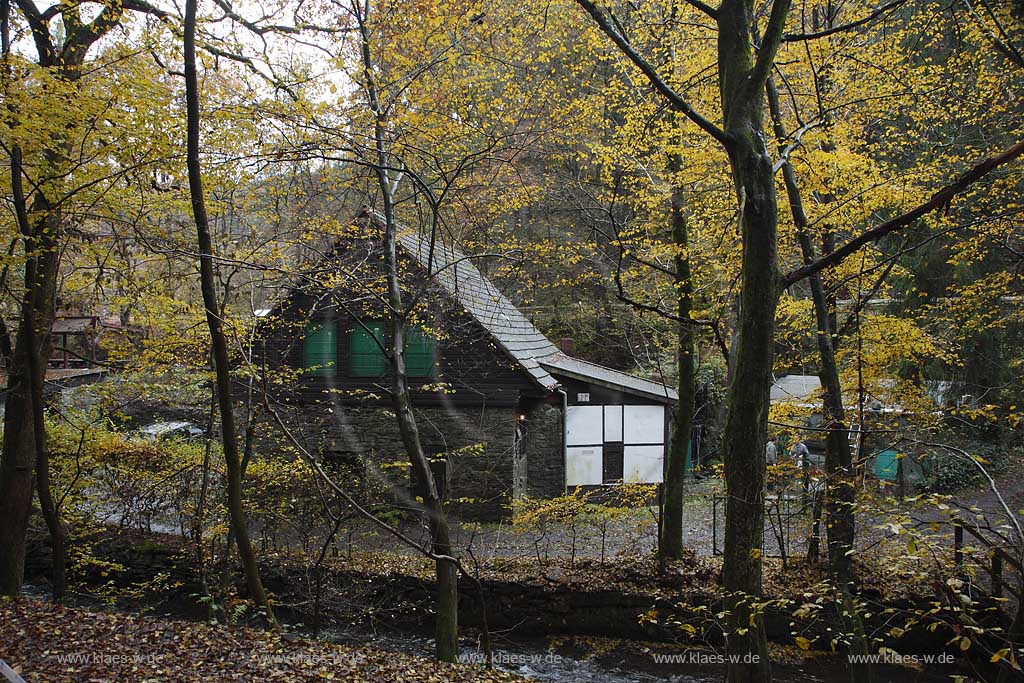 Remscheid Eschbachtall, Blick aum Roentgenweg auf den Johenneshammer mit herbstlich verfaerbten Buemen im Vordergrund; Remscheid Eschbach valley view onto the mill Johanneshammer with autumn coloured tree