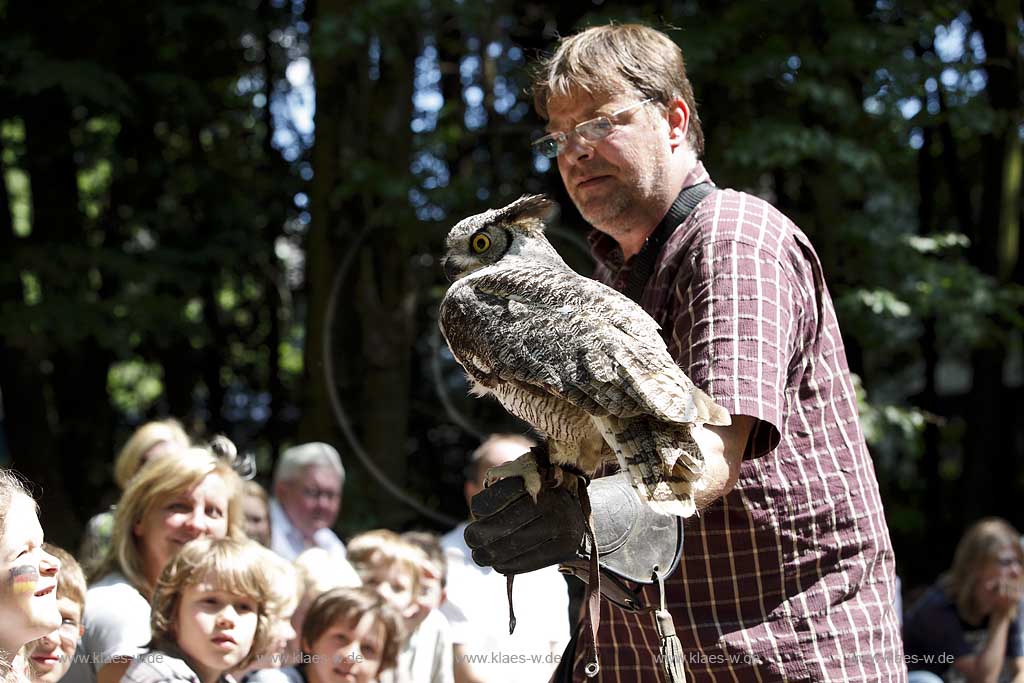  Remscheid Gruene, Falknerei Bergsich Land, Flugvorfuehrung mit einem Uhu; falconry, air display with an eagle owl