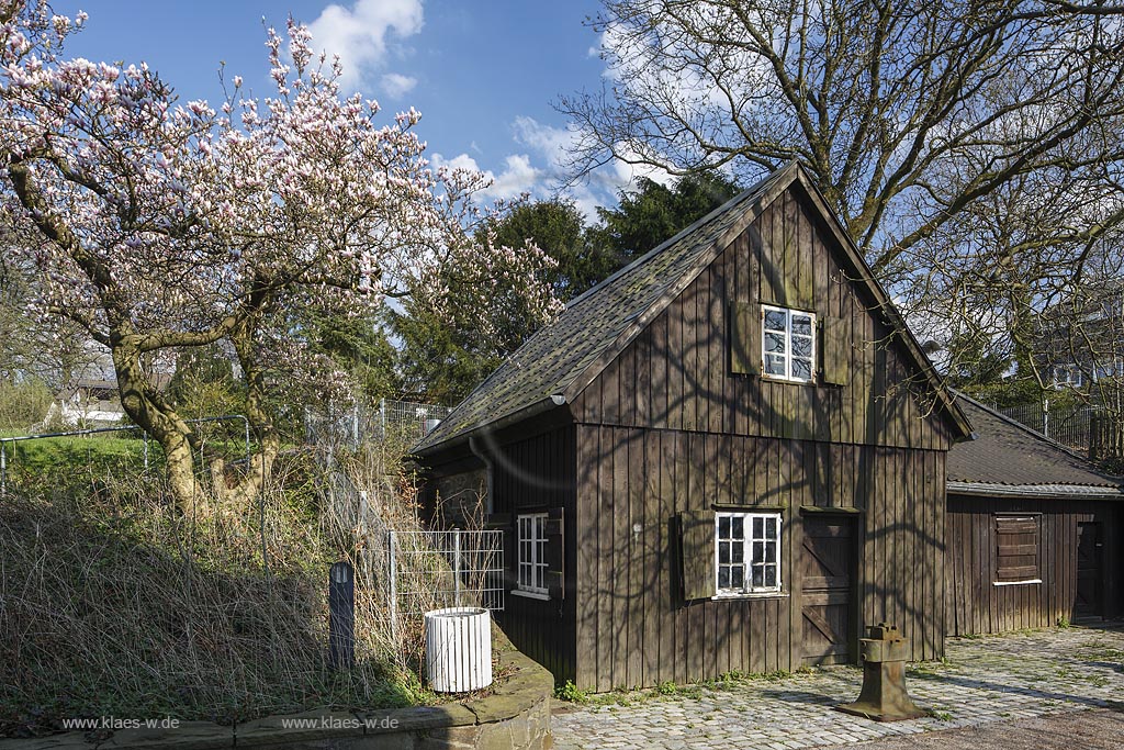 Remscheid Hasten, Haus Cleff mit Deutsches Werkzeugmuseum, kleines Ensemble: links Schleifkotten, rechts kleiner Wasserhammer und Nussbaum rechts und bluehende Magnolie links; Remscheid Hasen, house Haus Cleff with museum Deutsches Werkzugmuseum.