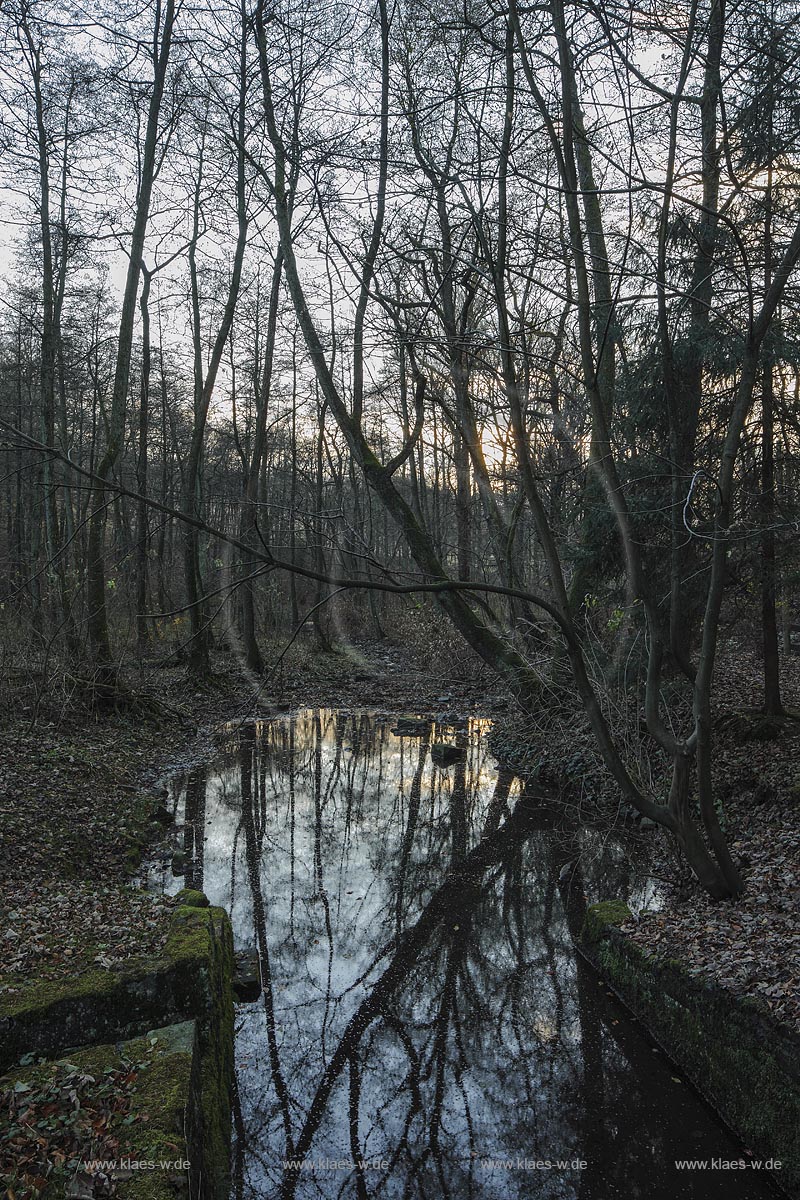 Remscheid-Luettringhausen, Blick auf den Leyerbach am Hilbertshammer; Remscheid-Luettringhausen, view to the beck Leyerbach near the hammer mill Hilbertshammer.