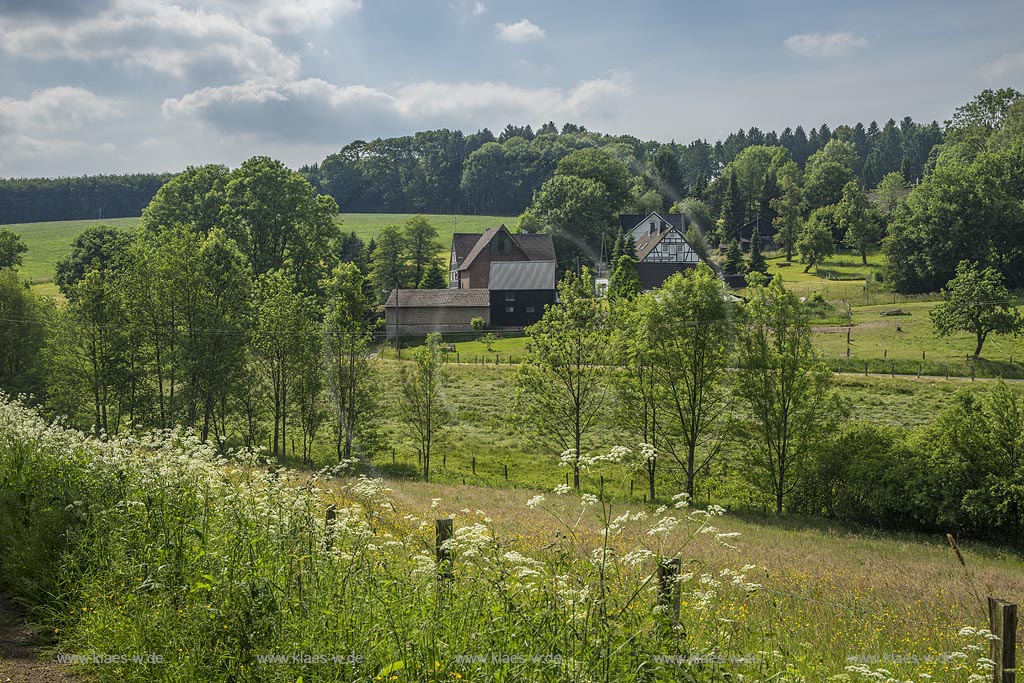 Remscheid-Lennep,Wegrain mit Wiesenkerbel und Blick auf die Hofschaft Oberfeldbach; Remscheid-Lennep, view to courtyard "Oberfeldbach" with landscape.