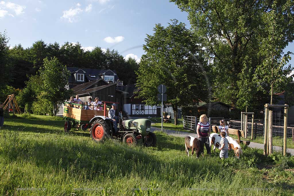 Remscheid Lennep, Bauernhof Eierkaal, kleiner Traktor ieht einen Wagen mit Kindern ber die Weide und ein Maedchen reitet auf einem kleinen Pony; a small traction engine is brewing a wagon witch children and agirl is riding a pony