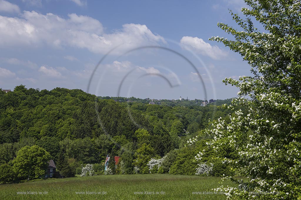 Remscheid Lennep, Diepmannsbachtal mit Blick auf Luettringhausen am Horizont; Remscheid Lennep, Diepmannsbachtal with view to Luettringhausen.