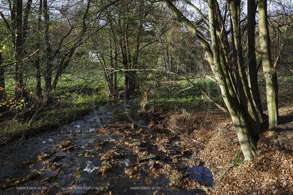 Remscheid-Luettringhausen, Diepmannsbach im Diepmannsbachtal; Remscheid-Luettringhausen, beck Diepmannsbach in the dale Diepmannsbachtal.