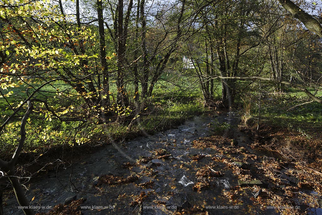 Remscheid-Luettringhausen, Diepmannsbach im Diepmannsbachtal; Remscheid-Luettringhausen, beck Diepmannsbach in the dale Diepmannsbachtal.