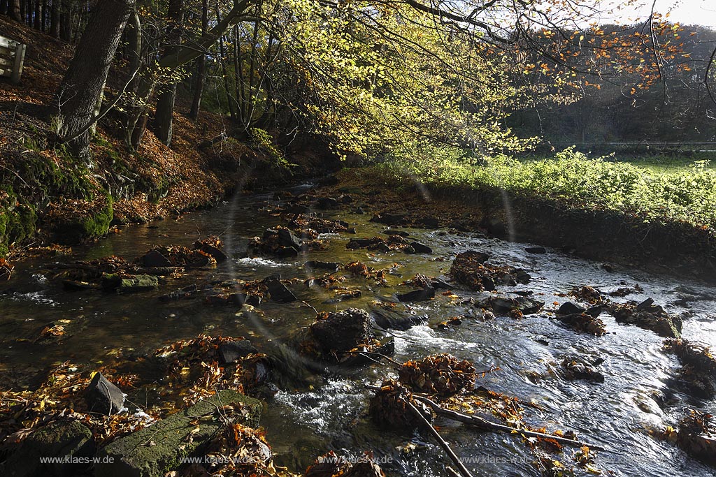 Remscheid-Luettringhausen, Diepmannsbach im Diepmannsbachtal; Remscheid-Luettringhausen, beck Diepmannsbach in the dale Diepmannsbachtal.