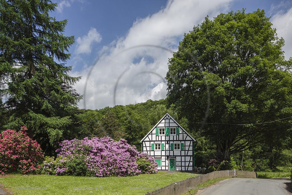 Remscheid-Luettringhausen, Frucht- und Getreidemuehle Hermannsmuehle; Remscheid Luettringhausen, mill Hermannsmuehle.
