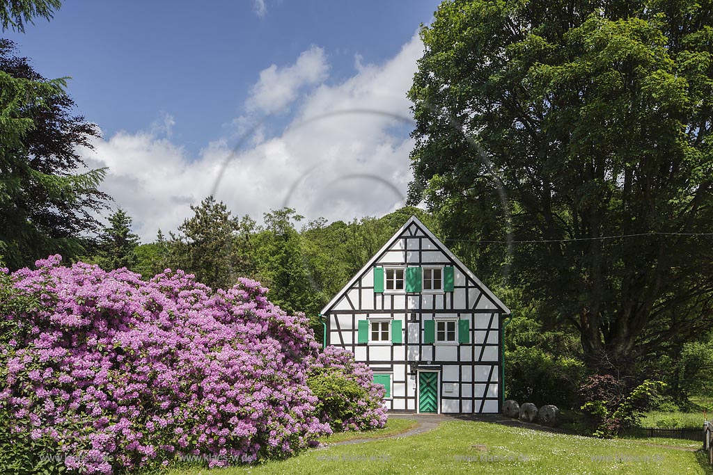 Remscheid-Luettringhausen, Frucht- und Getreidemuehle Hermannsmuehle; Remscheid Luettringhausen, mill Hermannsmuehle.