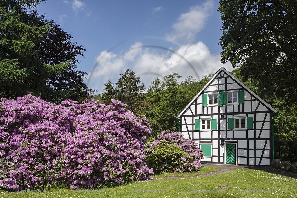 Remscheid-Luettringhausen, Frucht- und Getreidemuehle Hermannsmuehle; Remscheid Luettringhausen, mill Hermannsmuehle.