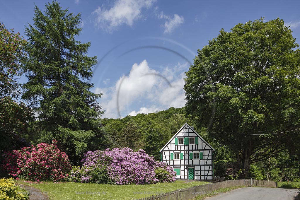 Remscheid-Luettringhausen, Frucht- und Getreidemuehle Hermannsmuehle; Remscheid Luettringhausen, mill Hermannsmuehle.