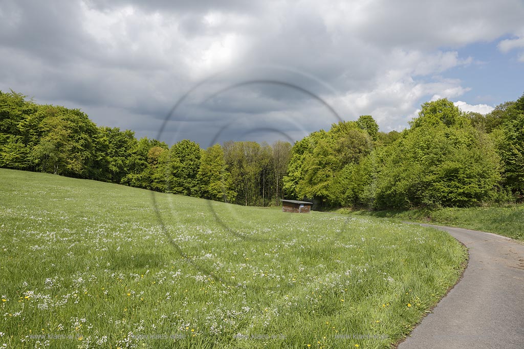 Remscheid-Sued, Hohenhagen, Blick in die Fruehlingslandschaft; Remscheid-Sued, Hohenhagen, view into springtime landscape.