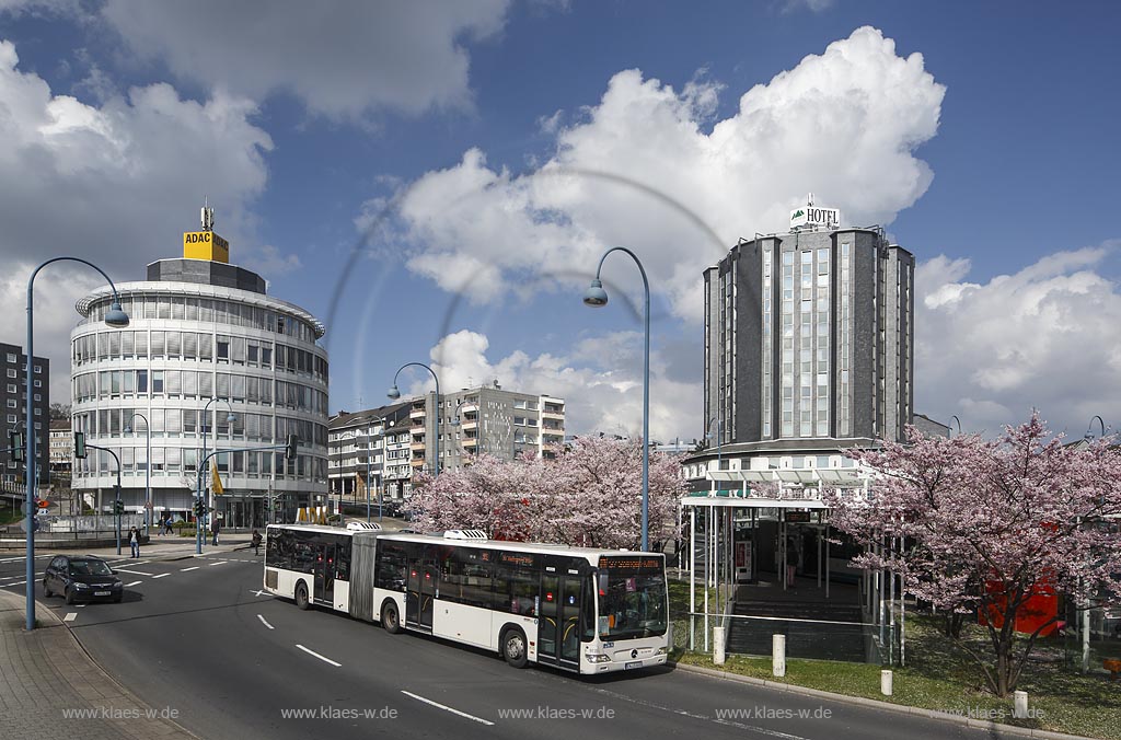 Remscheid, "Willy-Brandt-Platz" mit ADAC-Haus und "Hotel Remscheider Hof", Fruehe Zier-Kirsche Rosaceae, Prunus Accolade; Remscheid, square Willy-Brandt-Platz with house ADAC-Haus and hotel "Hotel Remscheider Hof".