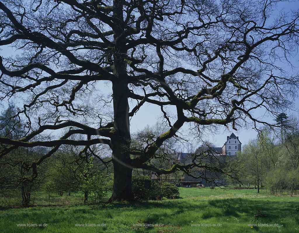 Brltal, Broeltal, Ruppichteroth, Winterscheid, Rhein-Sieg-Kreis, Blick auf Burg, Schloss Herrnstein