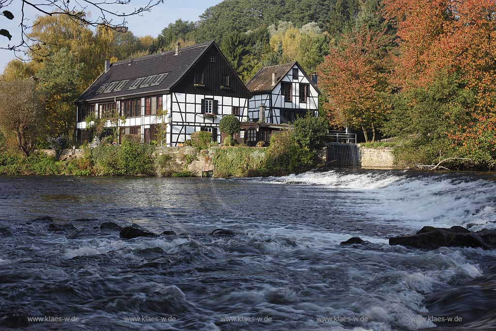 Solingen Wipperau, der Wipperkotten,Fachwerk Doppelkotten mit Wupper in Herbstlandschaft; Solingen Wipperaue,Wipperkotten, framework doublemill with Wupper river in autum landscape