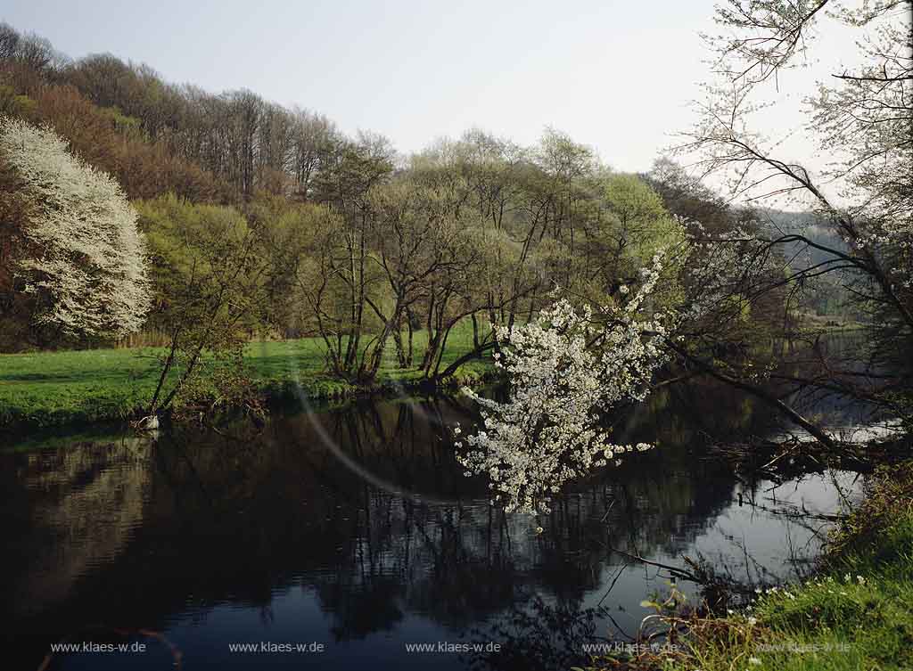 Wipperaue, Solingen, Regierungsbezirk Dsseldorf, Blick auf Wipper, Wupperlauf im Frhling, Fruehling mit Blten, Blueten 