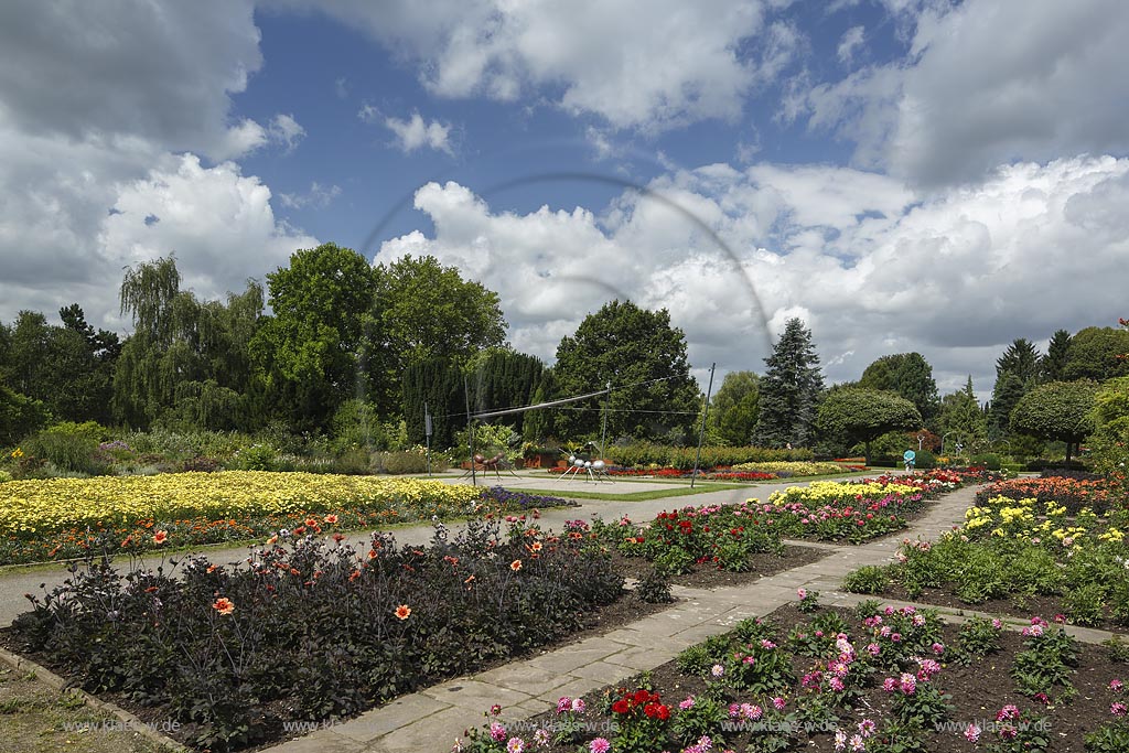 Solingen Wald, Blick in den Botanischen Garten im Sommer mit blauem Himmel und Wolken. Im Vordergrund verschiedene Beete mit bluehenden Blumen. Solingen Wald, with a view to the Botanic garden at the Summer with blue Sky and Clouds. In the foreground different beds with blooming plants. 