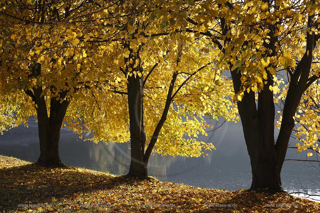 Groe Dhnn Talsperre Grosse Dhuenn Rheinisch Bergischer Kreis im Herbst