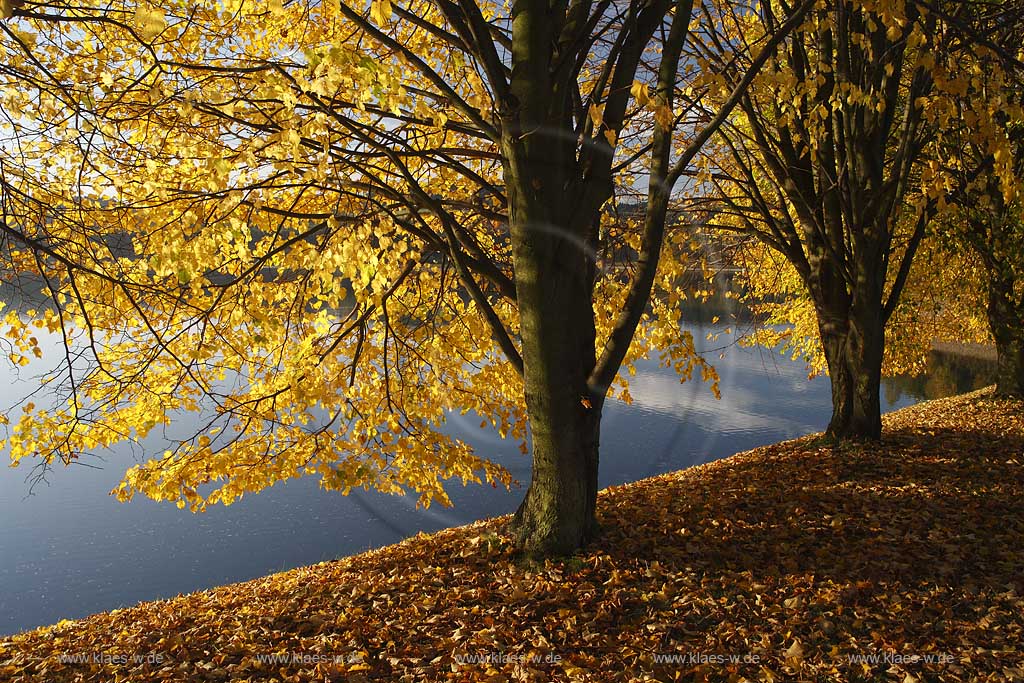 Groe Dhnn Talsperre Vorsperre Grosse Dhuenn Rheinisch Bergischer Kreis im Herbst