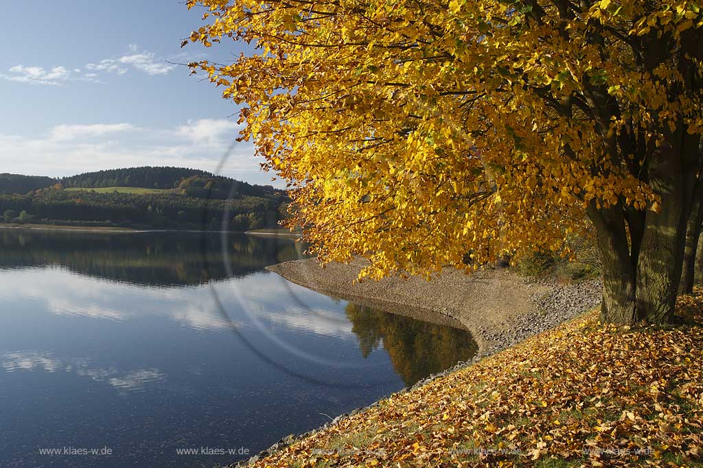 Groe Dhnn Talsperre Vorsperre Grosse Dhuenn Rheinisch Bergischer Kreis im Herbst