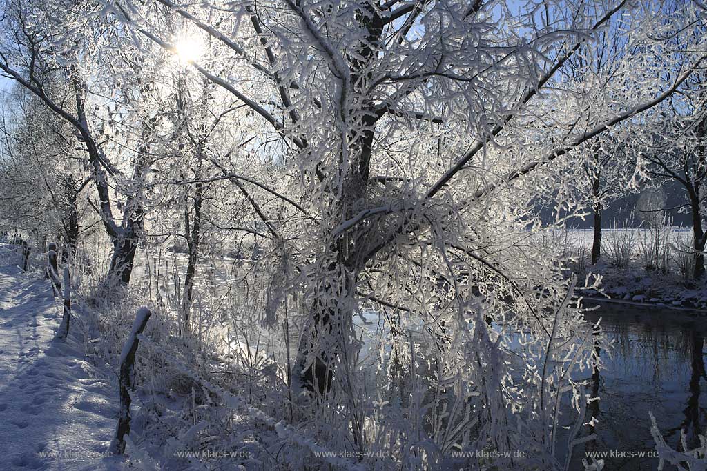 Der Fluss Agger bei Lohmar Wahlscheid an einem eisigen Wintertag verschneit mit Raureif im Gegenlicht mit Sonnenstern; the river Agger at a frosty winder day in snow covered landscape with hoarfrost in trees and gras with sunwhich lokks likes a star