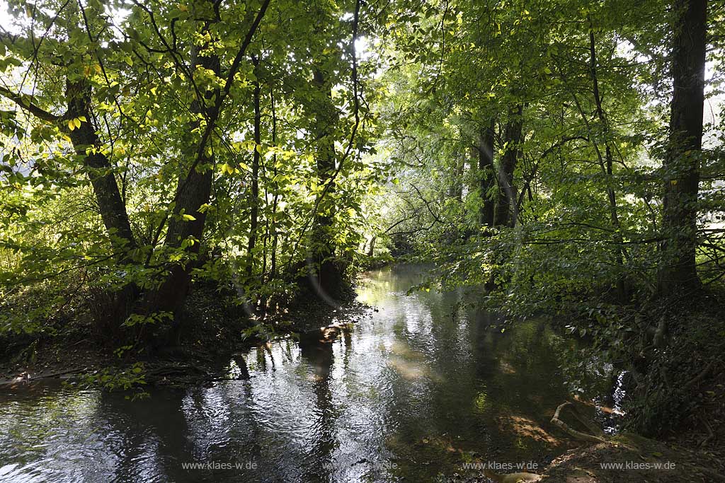 Memoria Mundi auf dem Kunstweg im Neandertal bei Mettmann, in einem von  Vegetation berwucherten, ehemaligen Steinbruch haben Anne und Patrick Poirier ein Bild fr das Gedchtnis der Welt geschaffen. mit zwei fremde Elementen, einem Pfeil und einrm Gehirn, die zu einem metaphorischen Bild werden. Die Poiriers, die sich mit Orten des kollektiven Gedchtnisses auseinander setzen, haben den Steinbruch wie einen archologischen Fundort zurckgelassen. Das Bild soll an unsere kulturellen Wurzeln und ihre Bewahrung erinnern