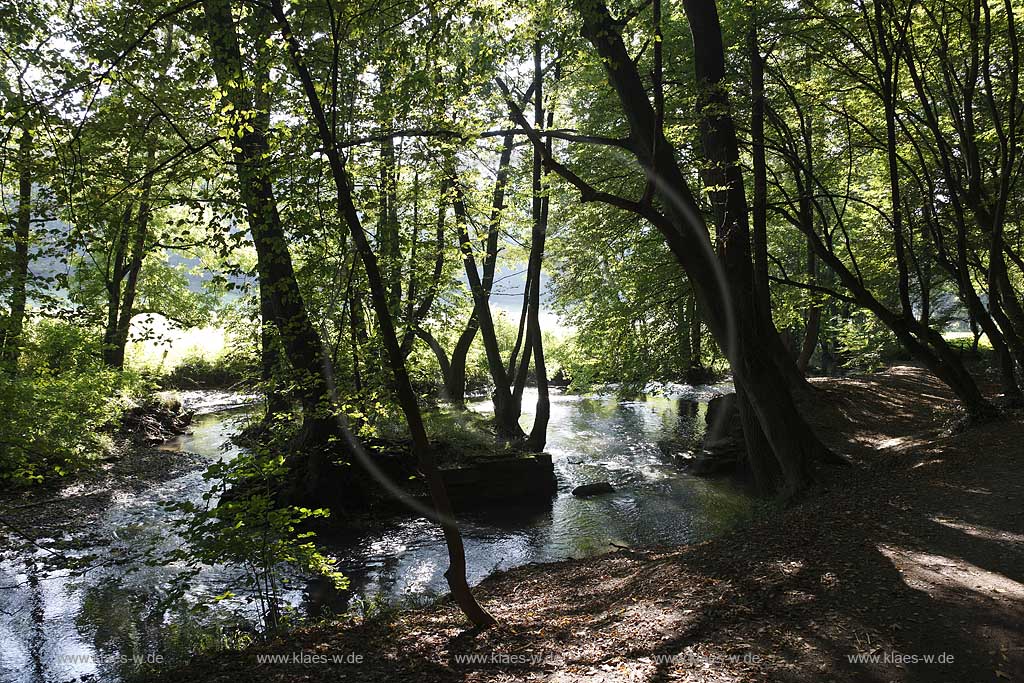 Memoria Mundi auf dem Kunstweg im Neandertal bei Mettmann, in einem von  Vegetation berwucherten, ehemaligen Steinbruch haben Anne und Patrick Poirier ein Bild fr das Gedchtnis der Welt geschaffen. mit zwei fremde Elementen, einem Pfeil und einrm Gehirn, die zu einem metaphorischen Bild werden. Die Poiriers, die sich mit Orten des kollektiven Gedchtnisses auseinander setzen, haben den Steinbruch wie einen archologischen Fundort zurckgelassen. Das Bild soll an unsere kulturellen Wurzeln und ihre Bewahrung erinnern