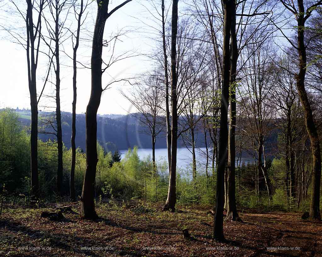 Wahnbach-Talsperre, Siegburg-Seligenthal, Rhein-Sieg-Kreis, Blick auf Talsperre und Landschaft