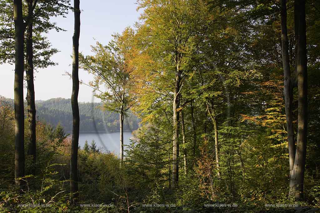 Wahnbachtalsperre, Seelscheid, Neunkirchen, Neunkirchen-Seelscheid, Pinn, Rhein-Sieg-Kreis, Blick auf Talsperre und Landschaft im Frhherbst, Fruehherbst