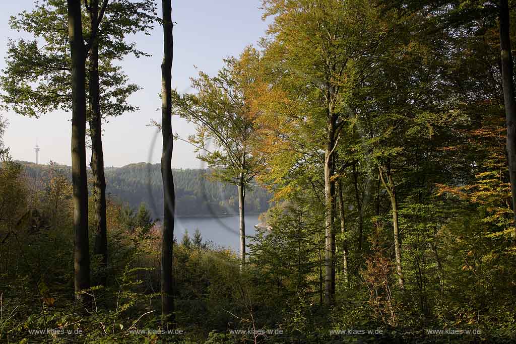 Wahnbachtalsperre, Seelscheid, Neunkirchen, Neunkirchen-Seelscheid, Pinn, Rhein-Sieg-Kreis, Blick auf Talsperre und Landschaft im Frhherbst, Fruehherbst