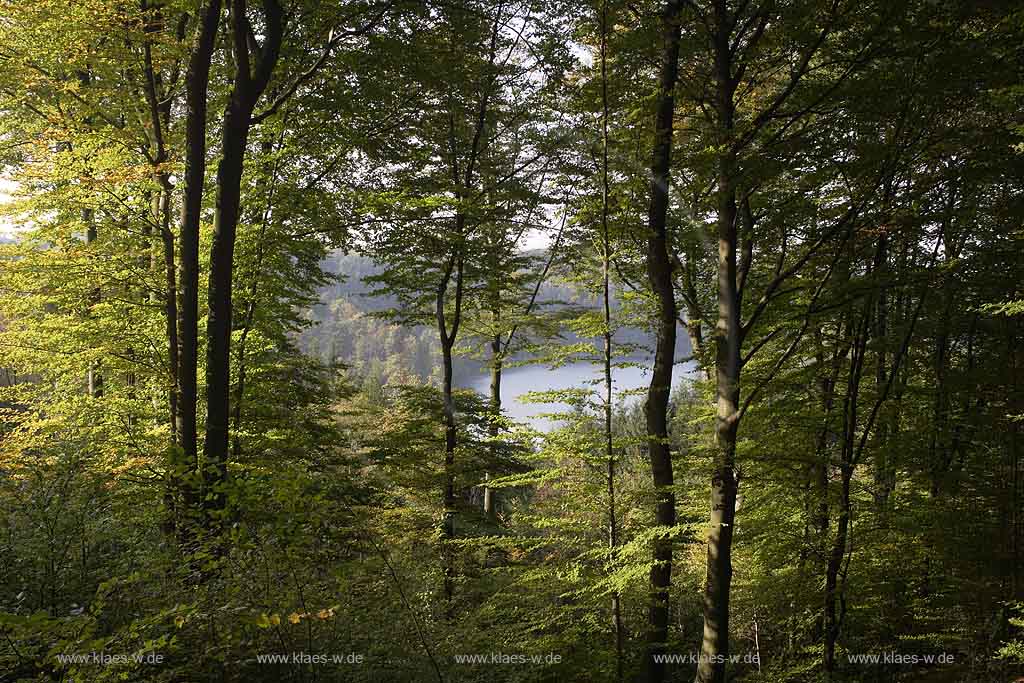 Wahnbachtalsperre, Seelscheid, Neunkirchen, Neunkirchen-Seelscheid, Pinn, Rhein-Sieg-Kreis, Blick auf Talsperre und Landschaft im Frhherbst, Fruehherbst