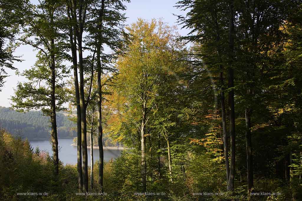 Wahnbachtalsperre, Seelscheid, Neunkirchen, Neunkirchen-Seelscheid, Pinn, Rhein-Sieg-Kreis, Blick auf Talsperre und Landschaft im Frhherbst, Fruehherbst