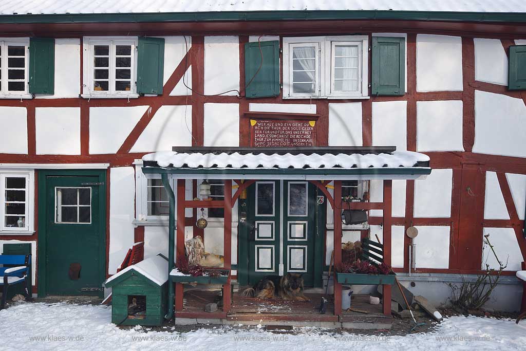 Waldbroel Drinhaus Fassade eines historischen Fachwerk Bauernhauses mit Haustuere und Fenstern und einem Hund vor der Tuere liegend im Winter verschneit mit rotbraunem Fachwerk; historical half facade of old timbered house in Waldbroel Drinhaus in winter