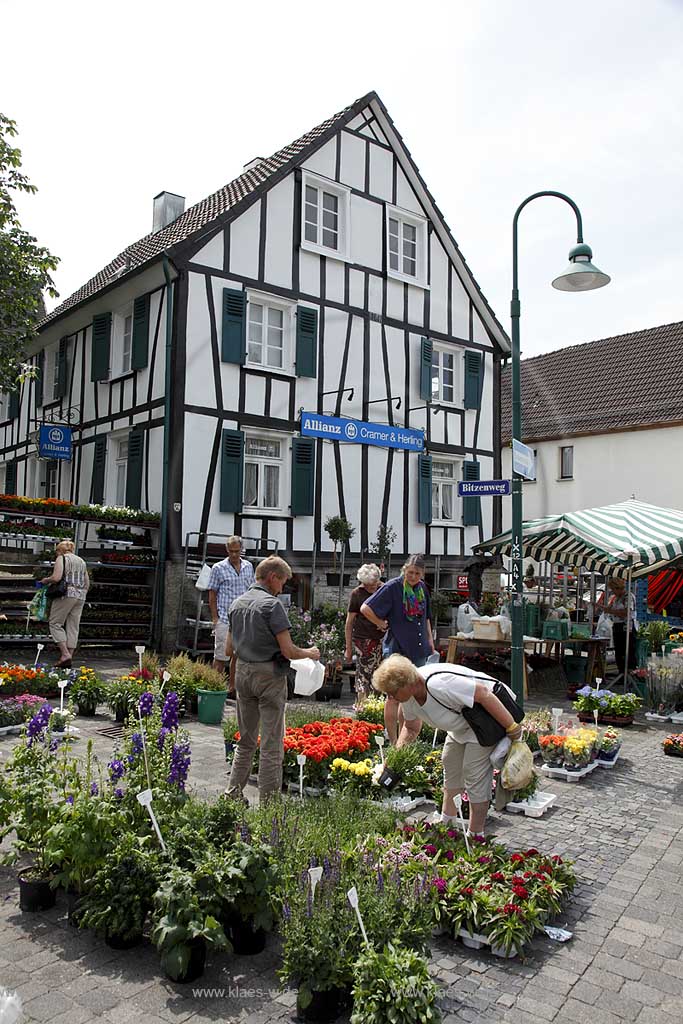 Waldbroel, Groesster, traditioneller Vieh und Krammmarkt Westdeutschlands, bestehend seid 1851, Blumenstand vor einem Fachwerkhaus; biggest traditonally cattle market of west germany since 1851, market stall of flowers in front of a frame house