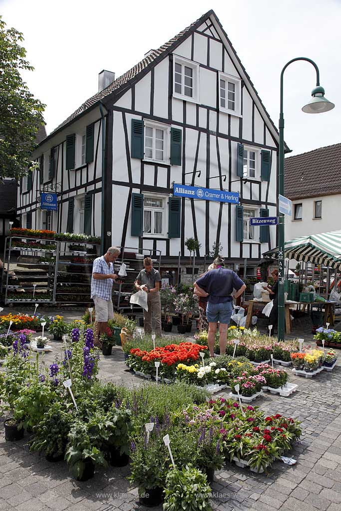 Waldbroel, Groesster, traditioneller Vieh und Krammmarkt Westdeutschlands, bestehend seid 1851, Blumenstand vor einem Fachwerkhaus; biggest traditonally cattle market of west germany since 1851, market stall of flowers in front of a frame house