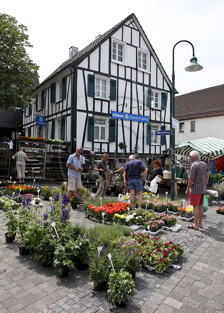 Waldbroel, Groesster, traditioneller Vieh und Krammmarkt Westdeutschlands, bestehend seid 1851, Blumenstand vor einem Fachwerkhaus; biggest traditonally cattle market of west germany since 1851, market stall of flowers in front of a frame house